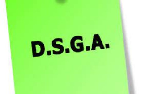 DSGA. Assegnazione nelle sedi di nuova titolarità e individuazione perdente posto a seguito razionalizzazione