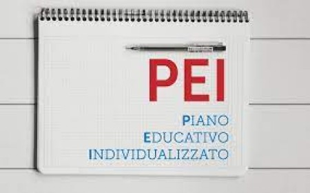 Webinar regionale “Presentazione del modello di Piano Educativo Individualizzato (PEI) Nazionale informatizzato” – 27 ottobre 2025 dalle ore 16:15 alle ore 17:15 on-line
