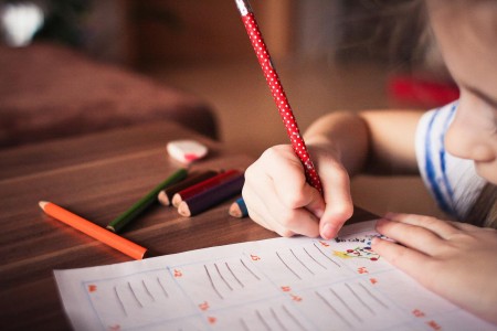 Organico di Diritto. Scuola Primaria